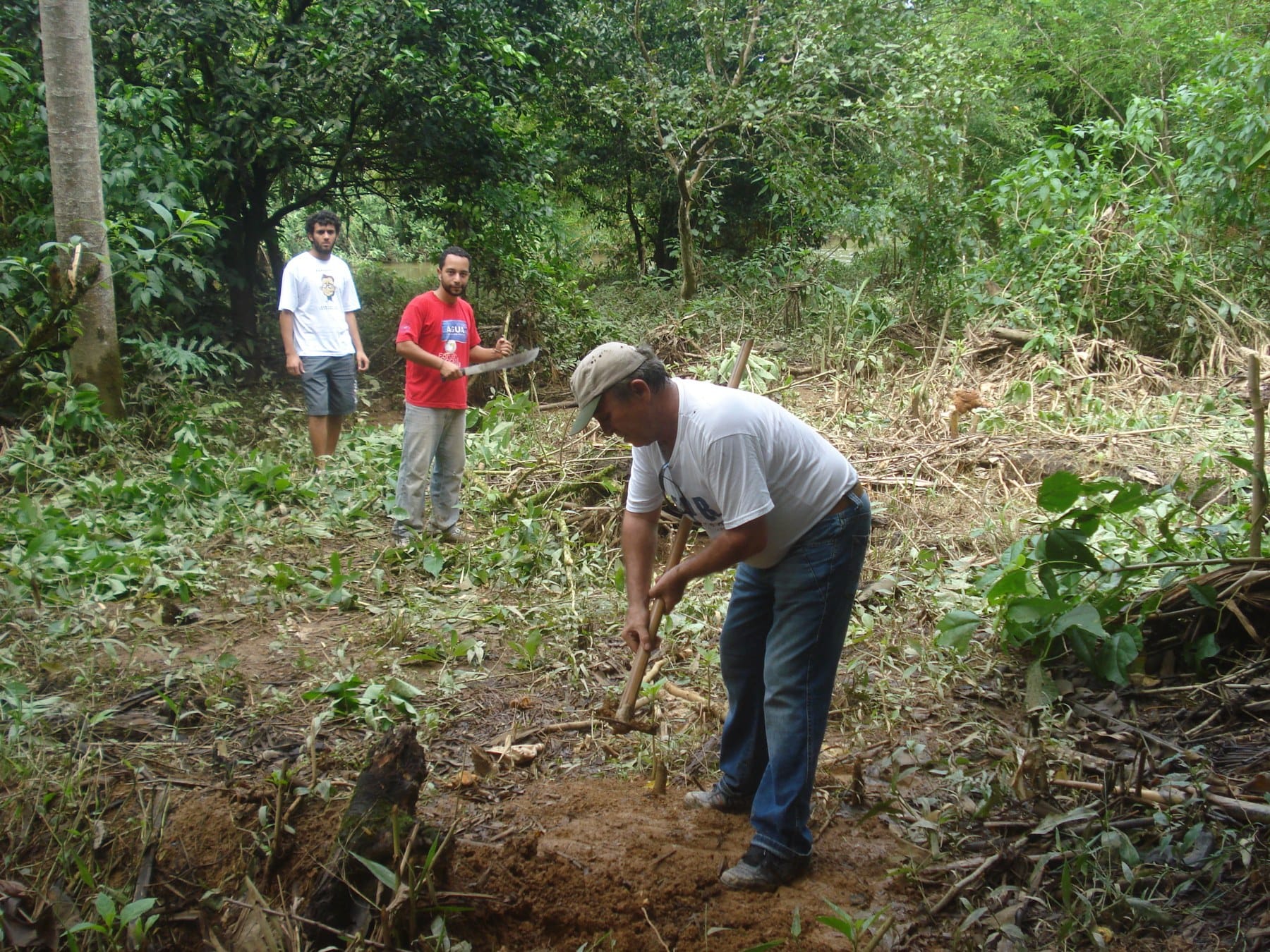 Three people working among trees and cut vegetation, with one person digging in the foreground.