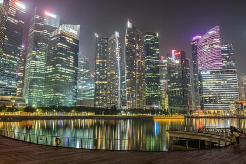 Singapore's MAS Regulatory Framework: Positioning Family Offices for Wealth Intelligence Success