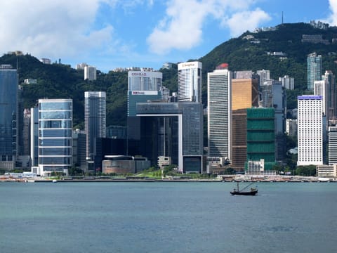 Hong Kong's CIES: A Catalyst for New Family Office Establishment