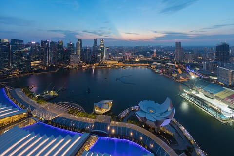 HSBC Survey: Singapore Tops Entrepreneur Destinations as Direct Private Investing Grows